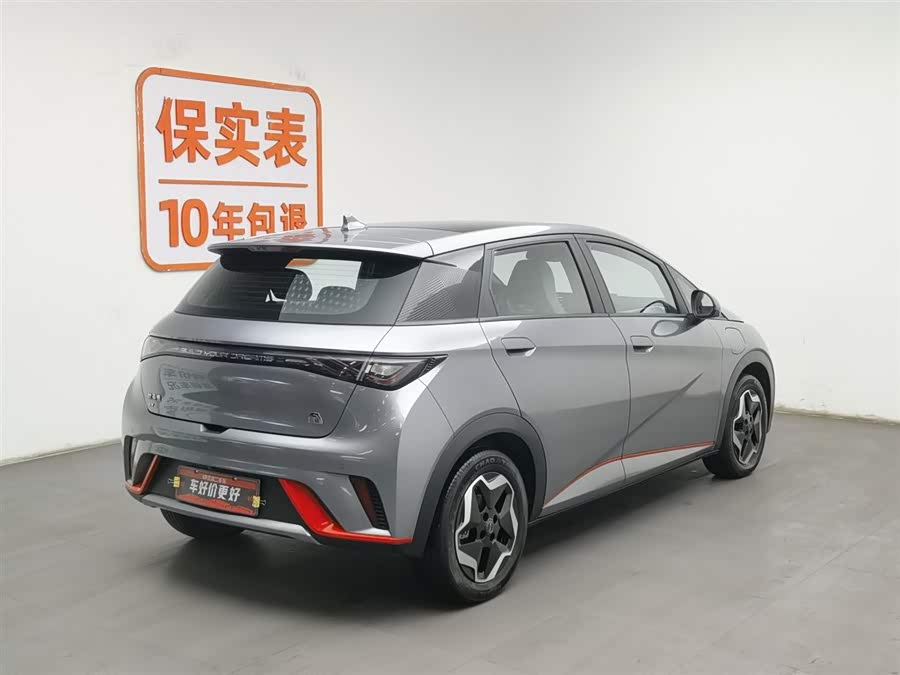 BYD Dolphin 2022 car image #3