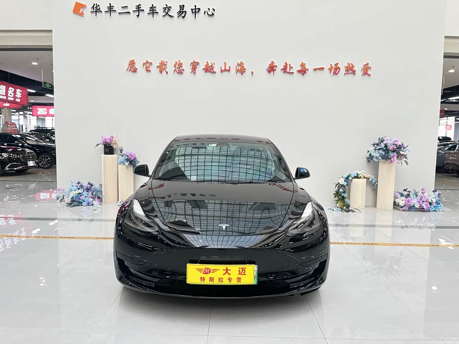 Tesla Model 3 2021 car image #3