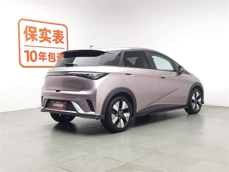BYD Dolphin 2023 car image #3
