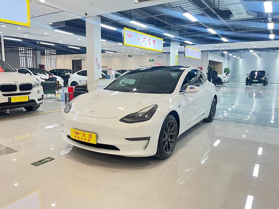 Tesla Model 3 2020 #3 Tesla Model 3 2020 car image #3