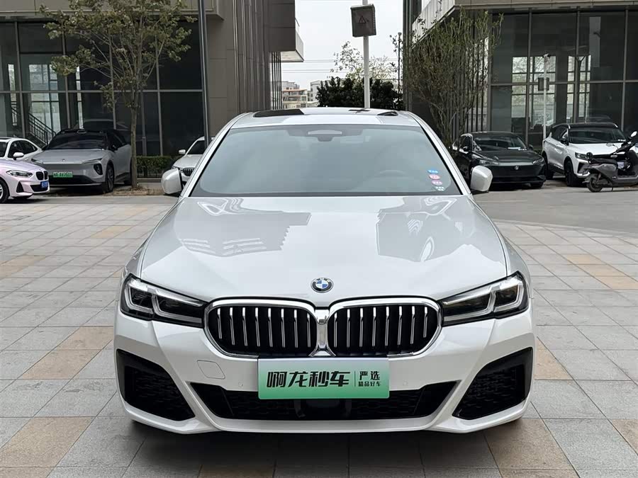BMW 5 Series New Energy 2021 car image #3