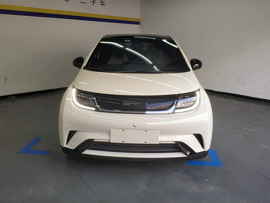 BYD Dolphin 2024 imagem de carro #3