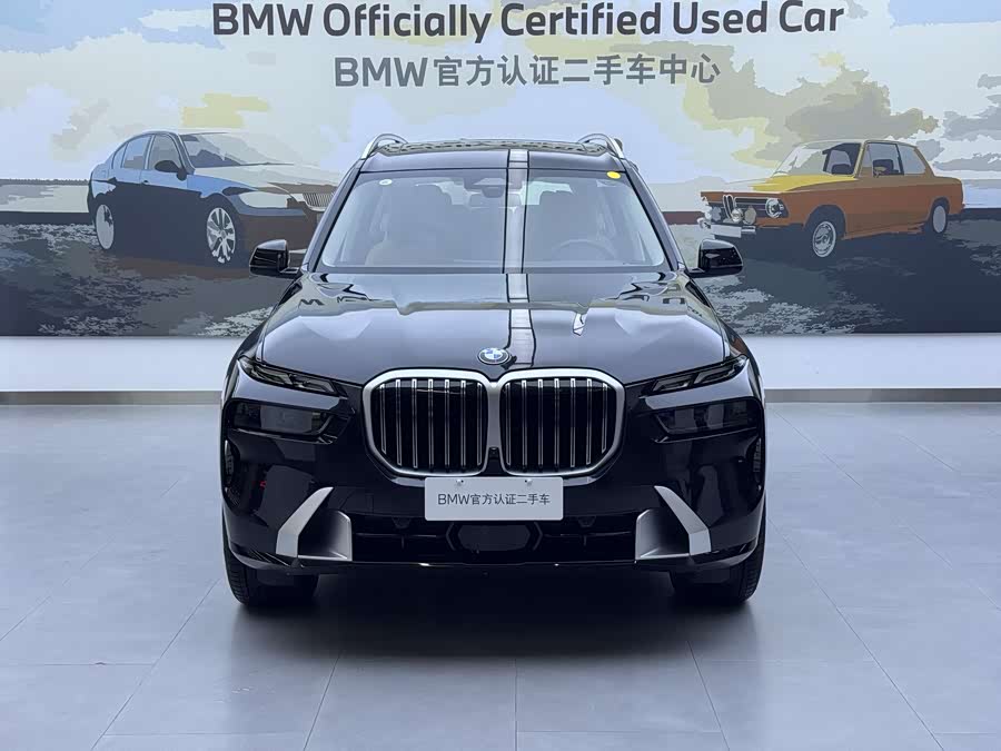 BMW X7 immagine di auto #3