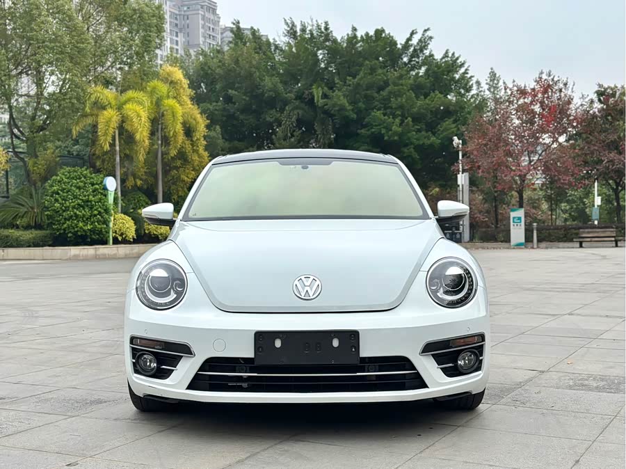Volkswagen Beetle 2015 immagine di auto #3