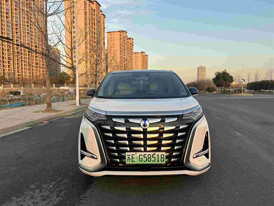 Denza D9 2023 immagine di auto #3