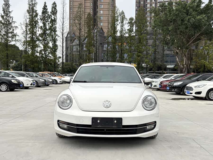 Volkswagen Beetle 2013 immagine di auto #3