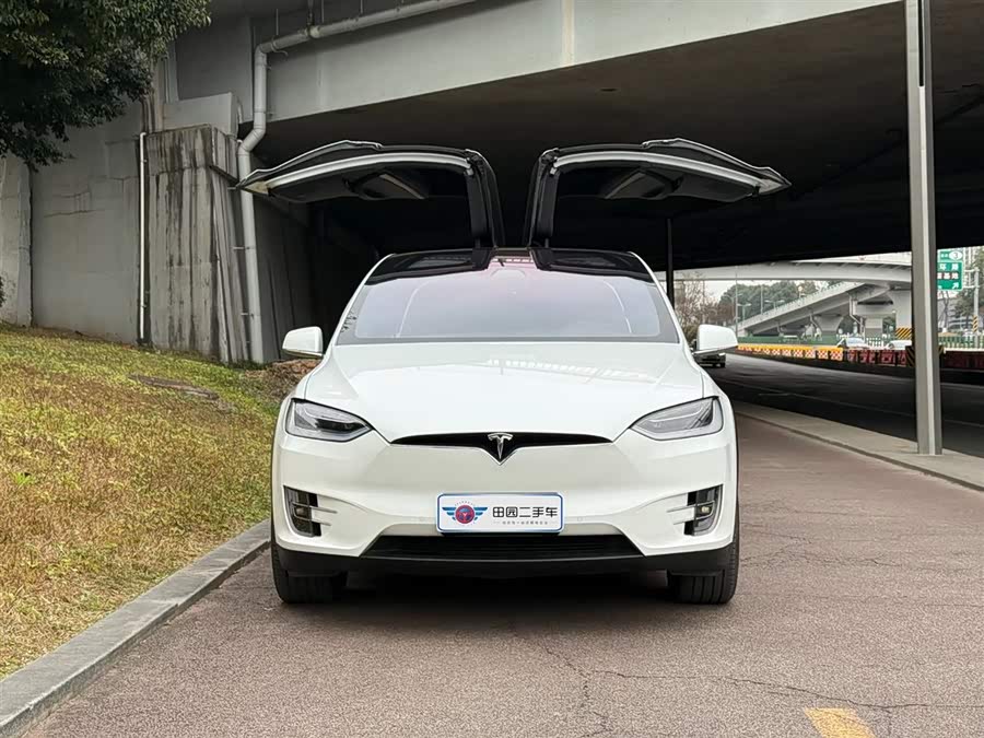 Tesla Model X 2019 car image #3
