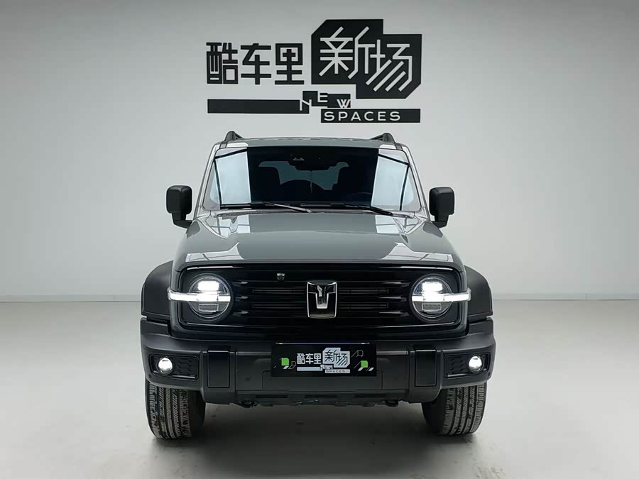 Tank 300 2025 #3 Tank 300 2025 car image #3