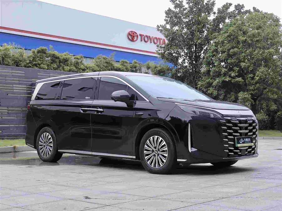 BYD Xia 2024 imagen de coche #3