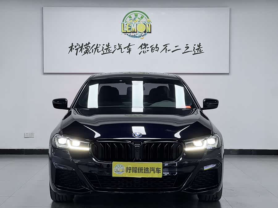 BMW 5 Series New Energy 2021 car image #3