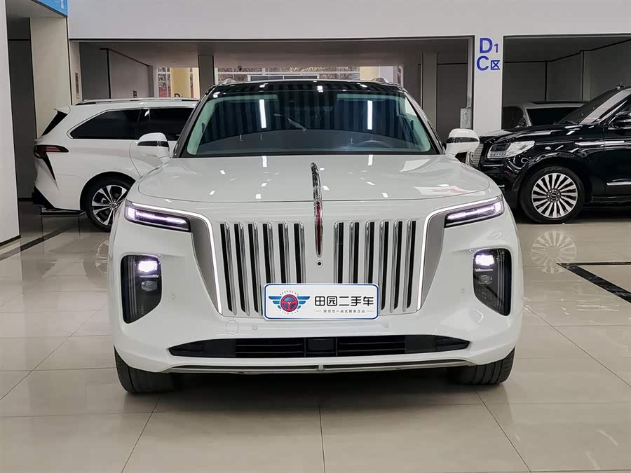 HongQi E-HS9 2024 image de voiture #3