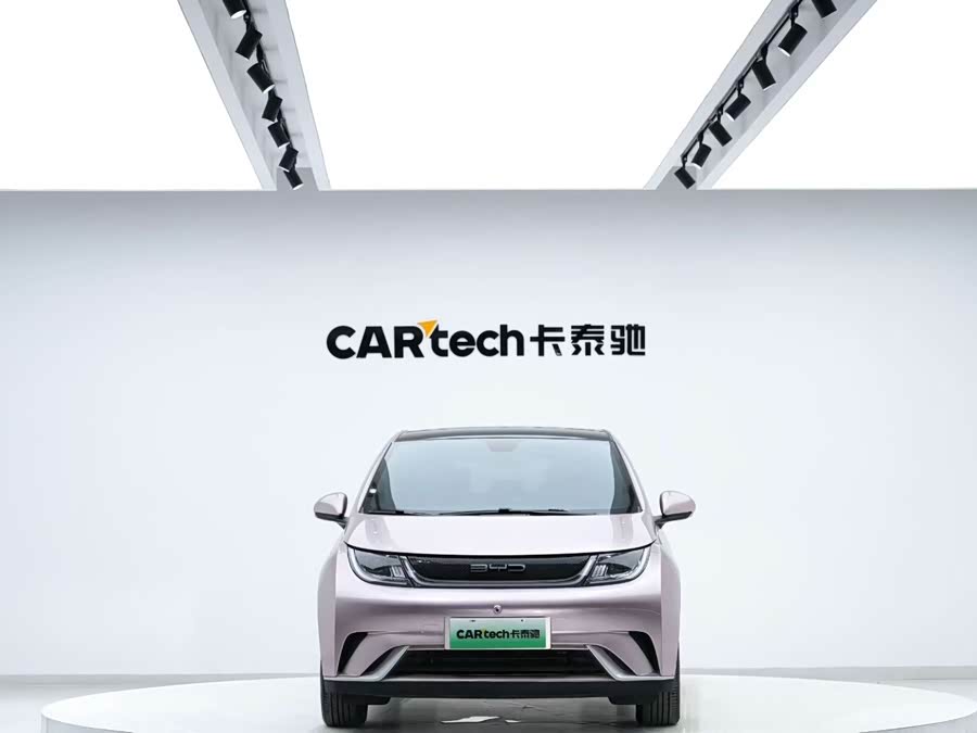 BYD Dolphin 2023 immagine di auto #3