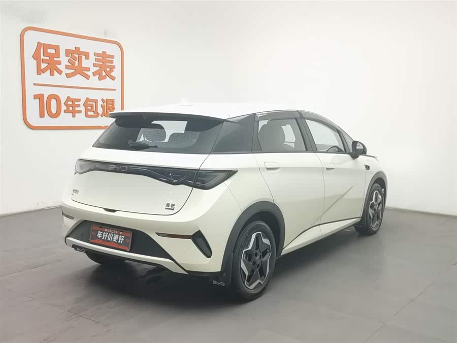 BYD Dolphin 2025 car image #3