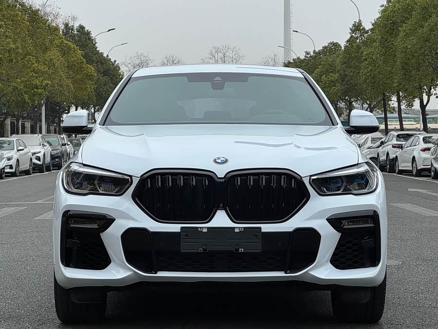 BMW X6 2020 car image #3