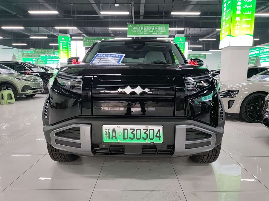 FangChengBao Tiger 3 2025 car image #3