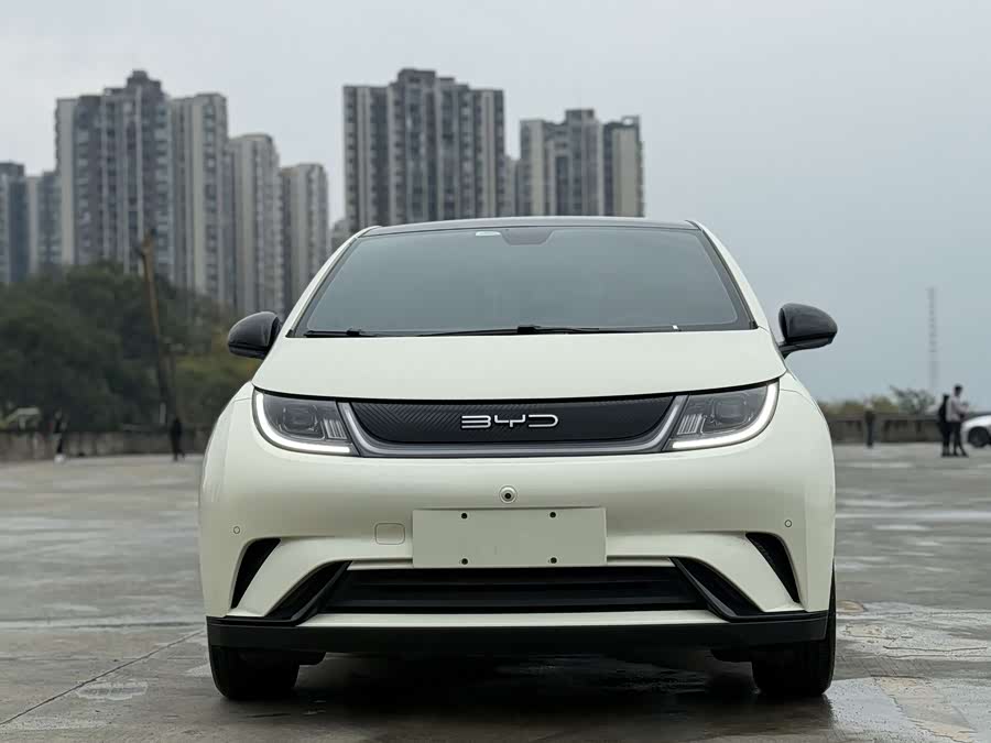 BYD Dolphin 2023 immagine di auto #3