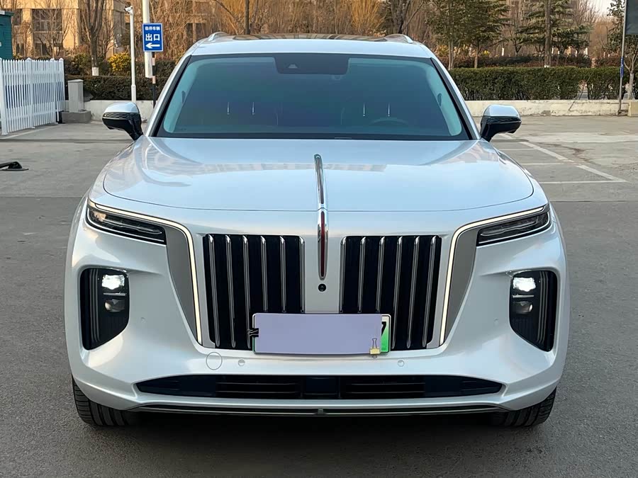 HongQi E-HS9 2023 imagem de carro #3