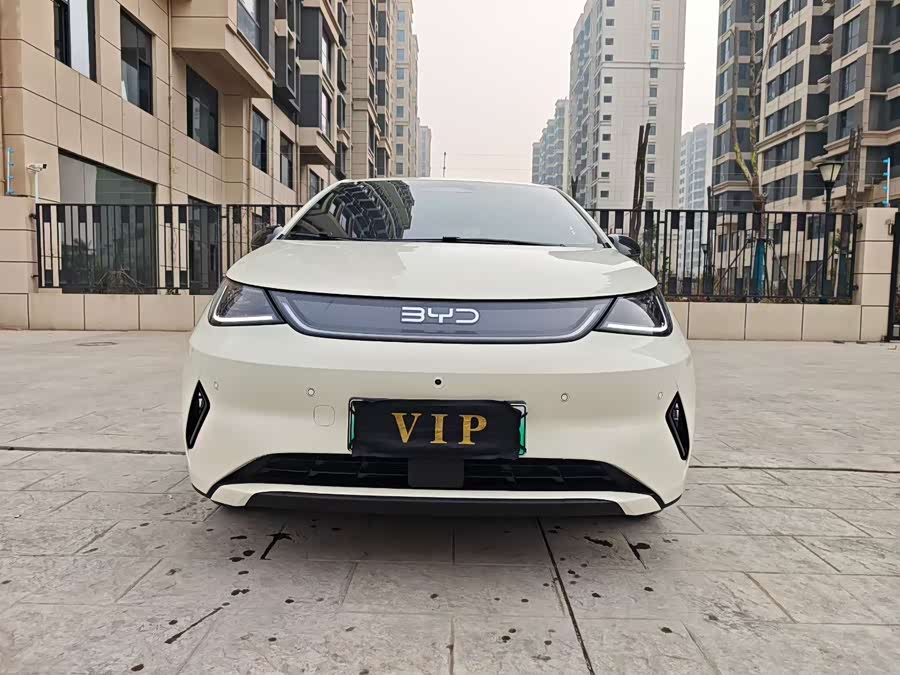 BYD Dolphin 2025 car image #3