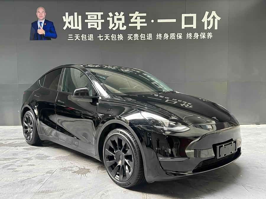 Tesla Model Y 2021 car image #3