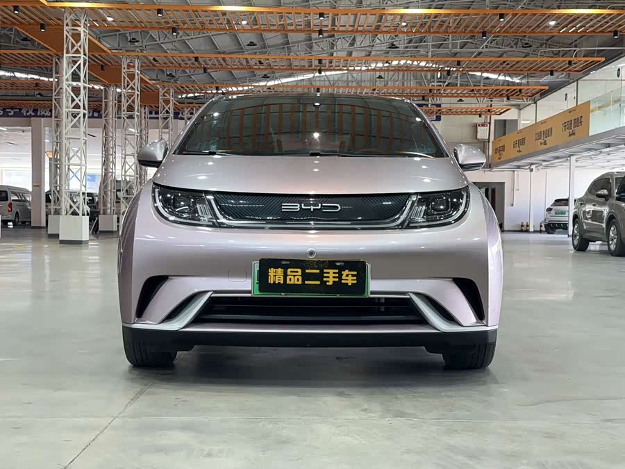 BYD Dolphin 2022 #3 BYD Dolphin 2022 immagine di auto #3