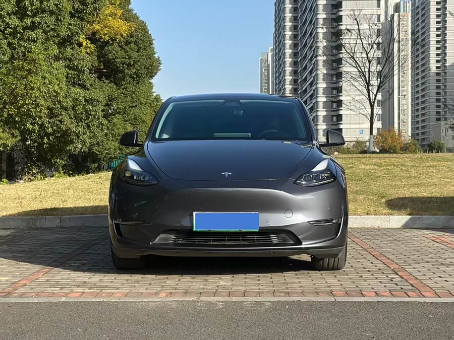 Tesla Model Y 2021 #3 Tesla Model Y 2021 car image #3