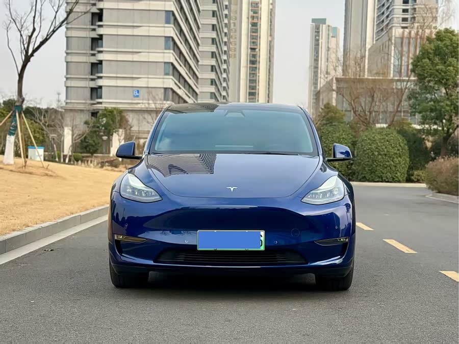 Tesla Model Y 2021 car image #3