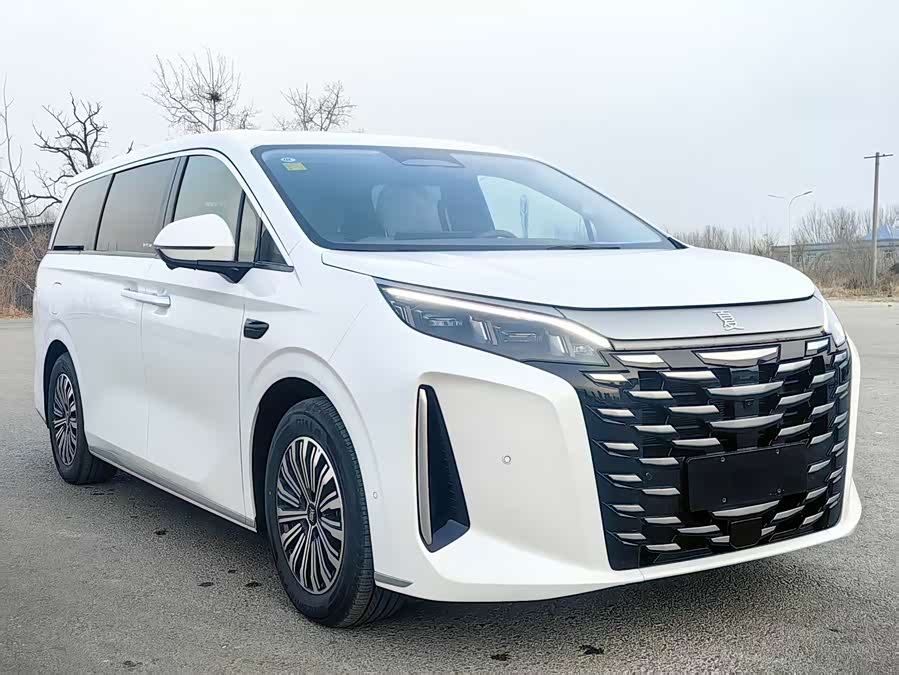 BYD Xia 2025 imagen de coche #3