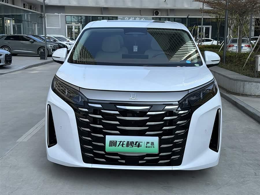 BYD Xia 2024 imagen de coche #3