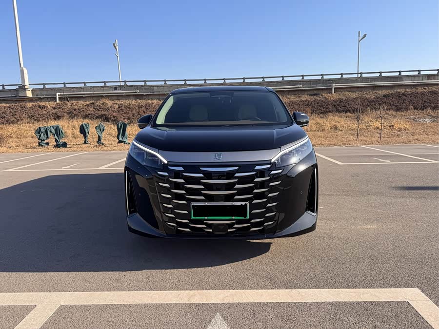 BYD Xia 2024 imagen de coche #3