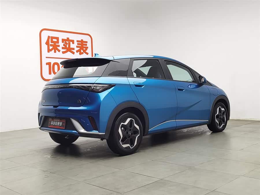 BYD Dolphin 2022 #3 BYD Dolphin 2022 immagine di auto #3