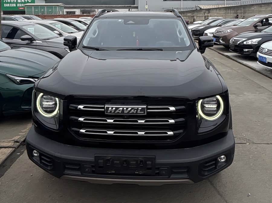 Haval X Dog / Dargo 2020 #3 Haval X Dog / Dargo 2020 car image #3