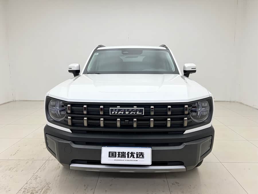 Haval Dargo 2022 car image #3