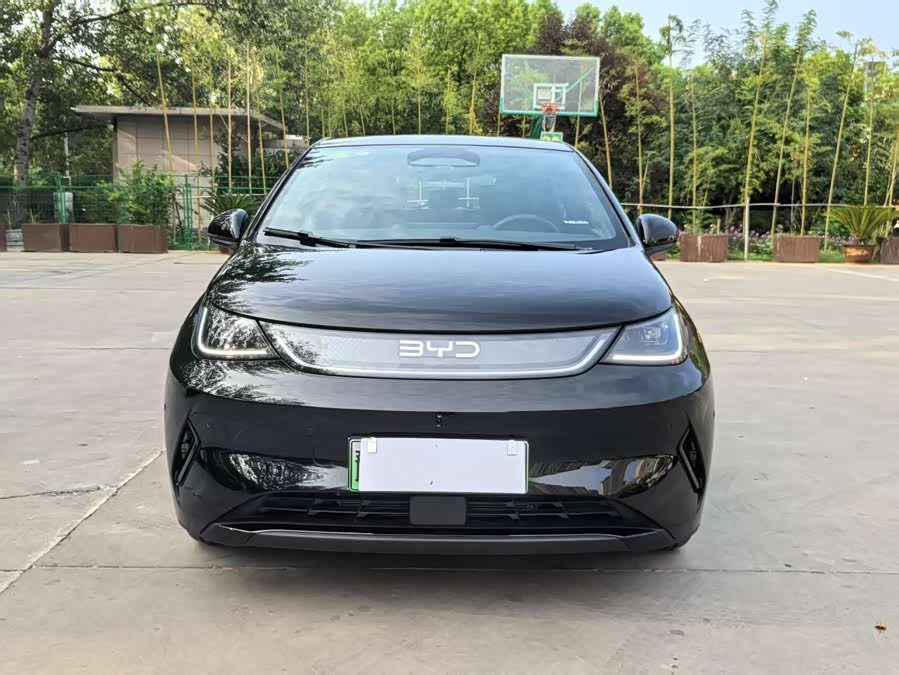 BYD Dolphin 2025 car image #3