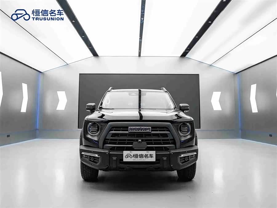 Haval X Dog / Dargo 2023 immagine di auto #3
