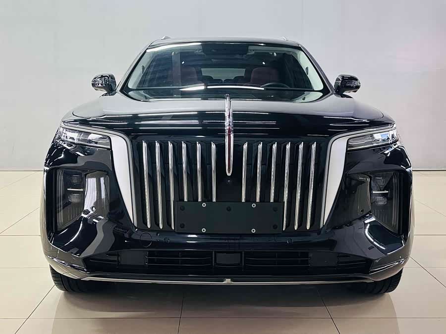 HongQi E-HS9 2023 image de voiture #3