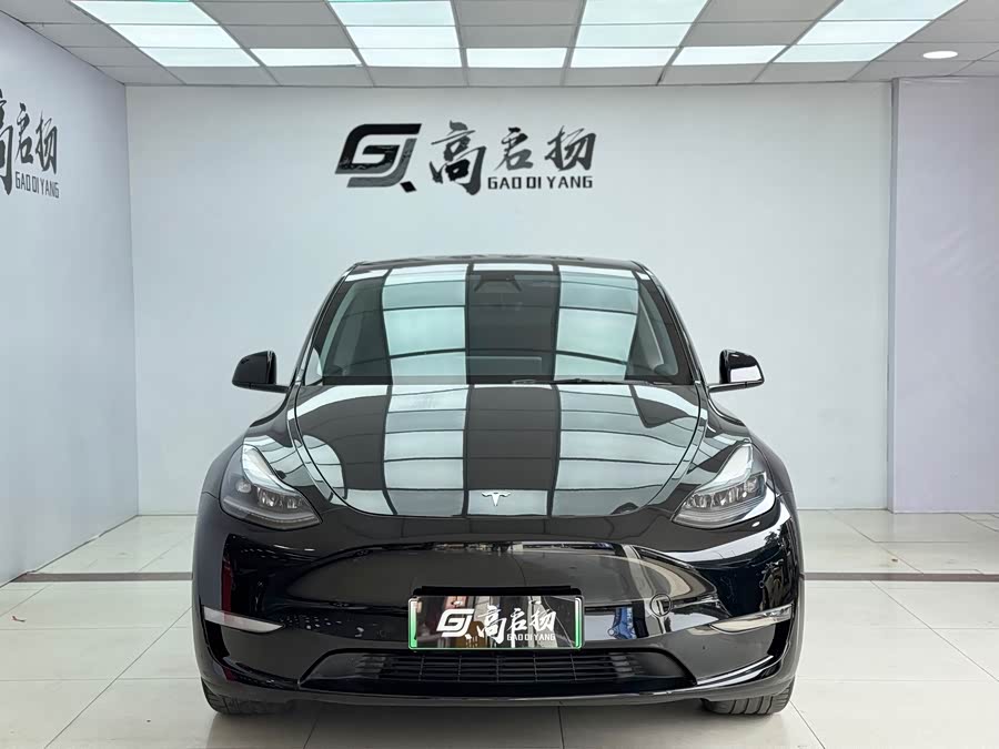 Tesla Model Y 2021 car image #3