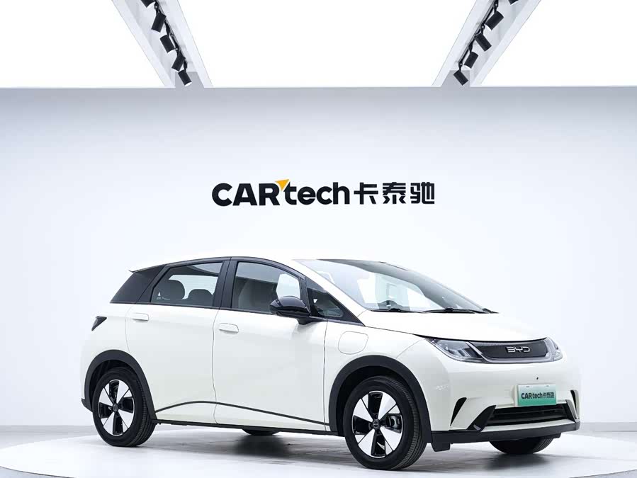 BYD Dolphin 2023 car image #3