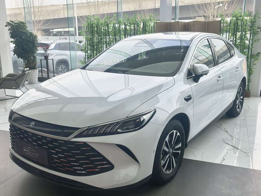 BYD Qin Plus 2025 #3 BYD Qin Plus 2025 صورة سيارة #3