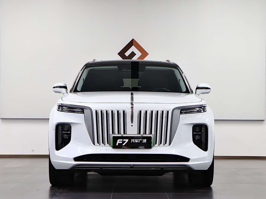 HongQi E-HS9 2023 immagine di auto #3