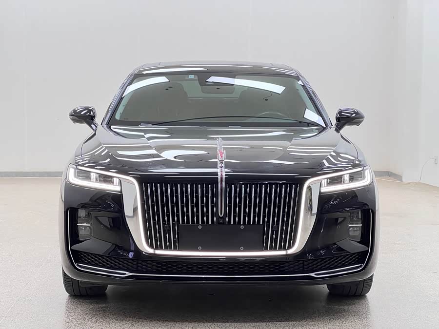 HongQi H9 2021 car image #3