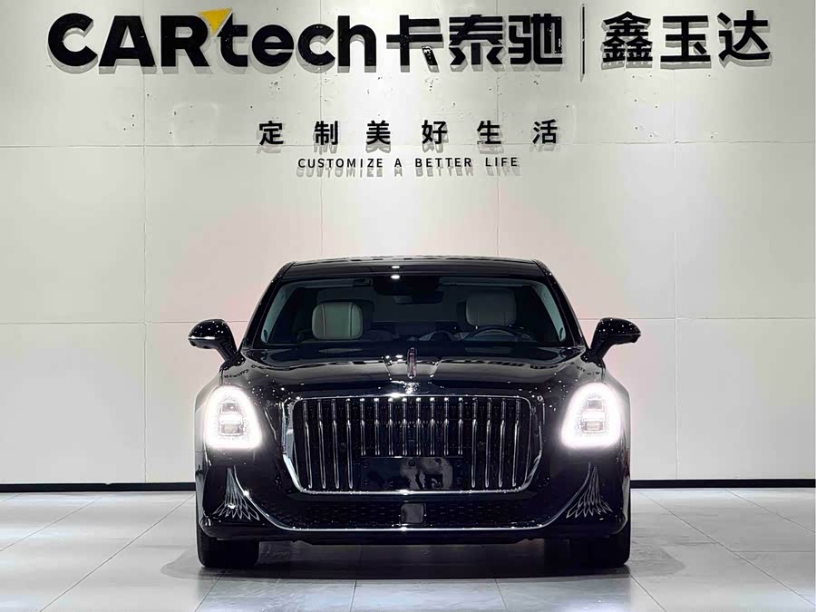 HongQi GuoYa 2024 #3 HongQi GuoYa 2024 car image #3