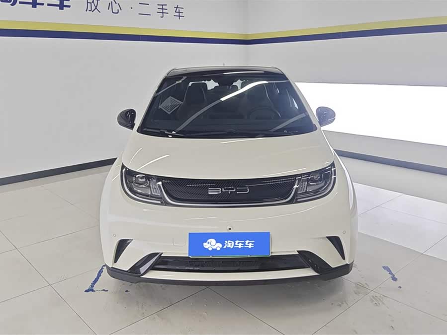 BYD Dolphin 2024 imagem de carro #3