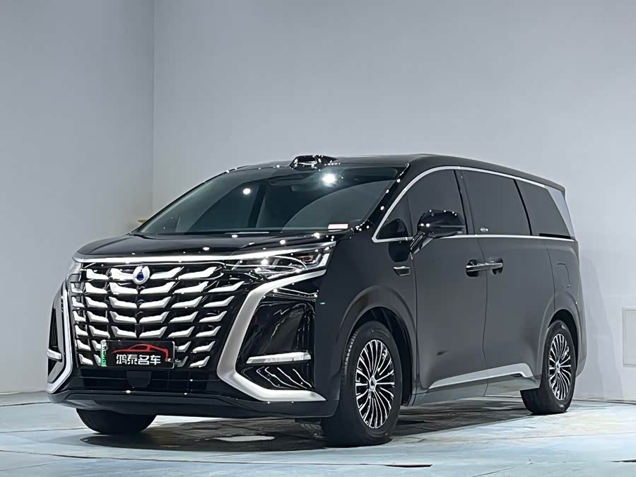 Denza D9 2025 imagen de coche #3