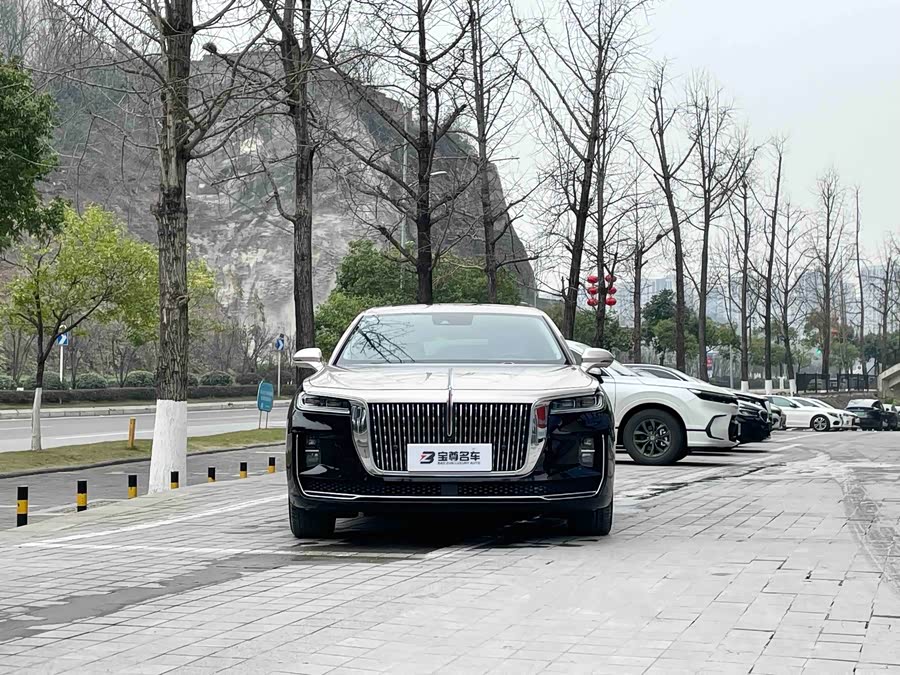 HongQi H9 2022 immagine di auto #3