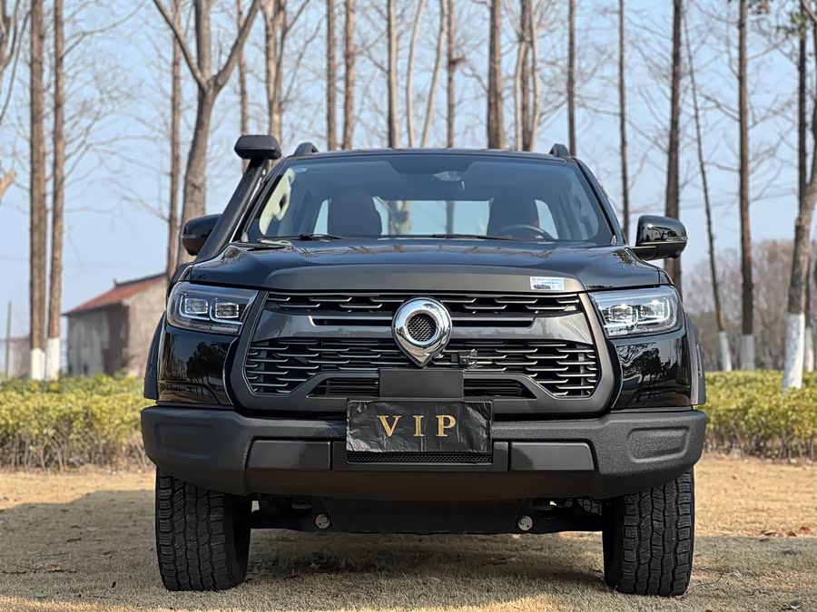 Great Wall Poer 2023 car image #3