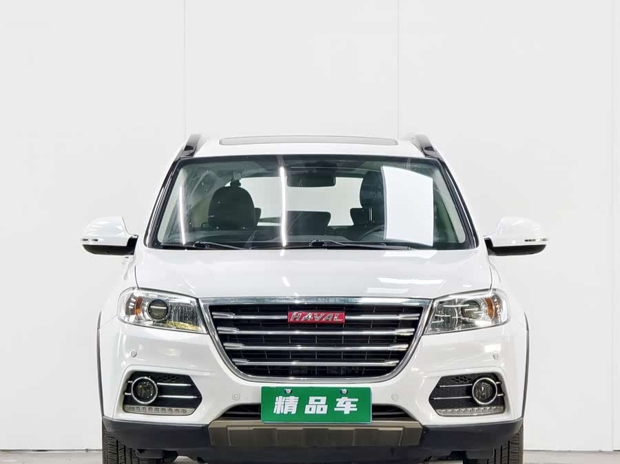 Haval H6 2015 immagine di auto #3