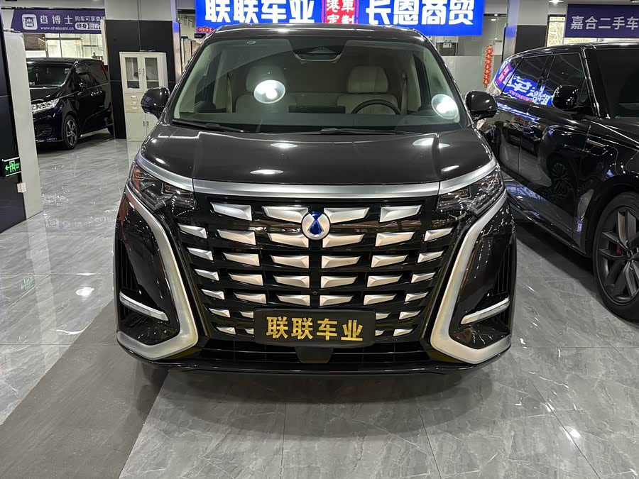 Denza D9 2024 imagen de coche #3