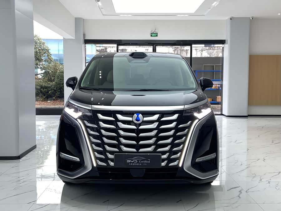 Denza D9 2024 car image #3