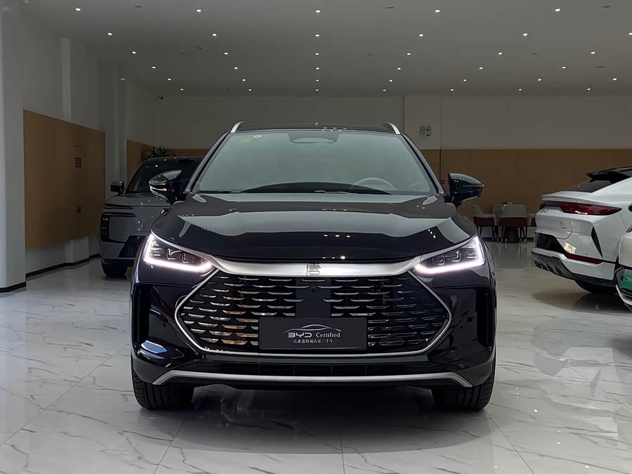BYD Tang New Energy 2025 car image #3