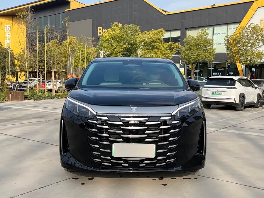 BYD Xia 2025 imagen de coche #3